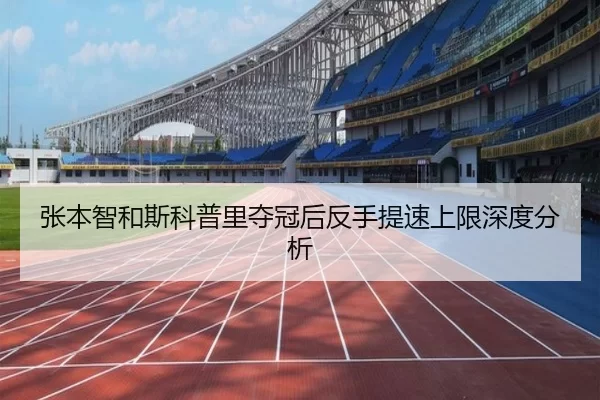 张本智和斯科普里夺冠后反手提速上限深度分析